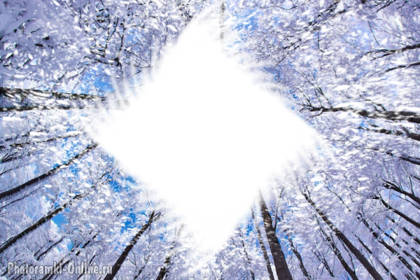 фотоэффект деревья небо зима