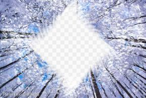 фотоэффект деревья небо зима