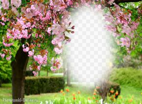 фотоэффект весенний парк цветы деревья