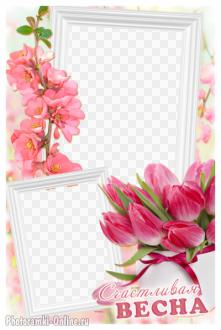 рамка весенние цветы два фото