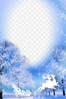 фотоэффект зима небо деревья олени