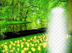 Весенний фотоэффект с природой и тюльпанами парка Кёкенхоф, Нидерланды