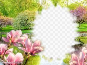 Красивый фотоэффект онлайн с весенними цветами и цветущими деревьями