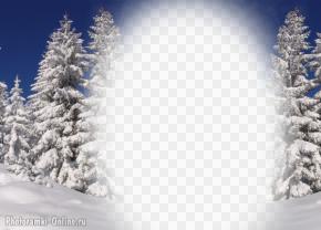 фотоэффект снег ёлки небо
