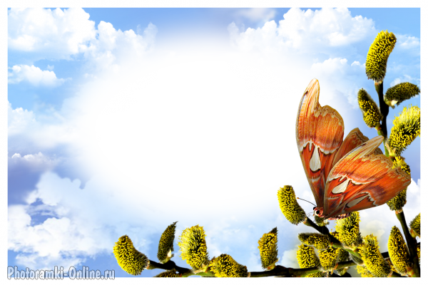 фотоэффект на фоне неба с вербой и бабочкой