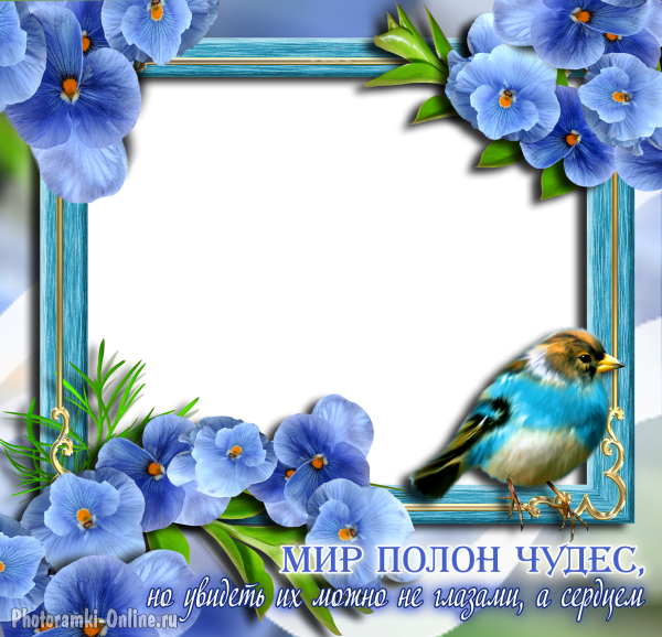 рамка голубые цветы птица надпись чудо