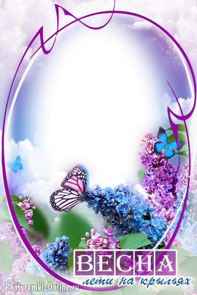 рамка сирень бабочка весна крылья