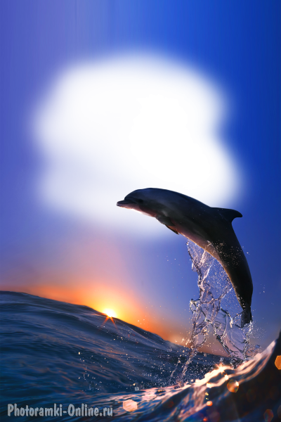 фотоэффект море дельфин закат брызги