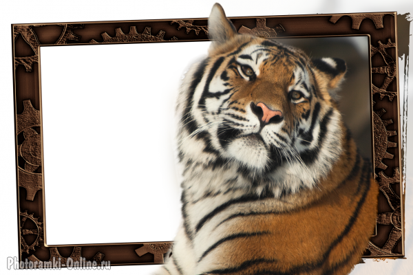 рамка онлайн с тигром