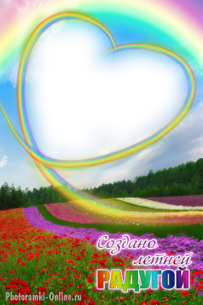 фотоэффект поле цветов радуга и сердце