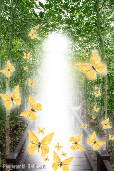 фотоэффект с бабочками и деревьями
