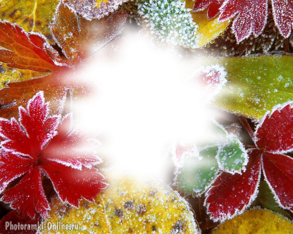 фотоэффект осень листья заморозки