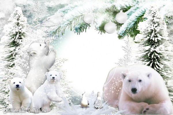 рамка заснеженные ёлки и белые медведи