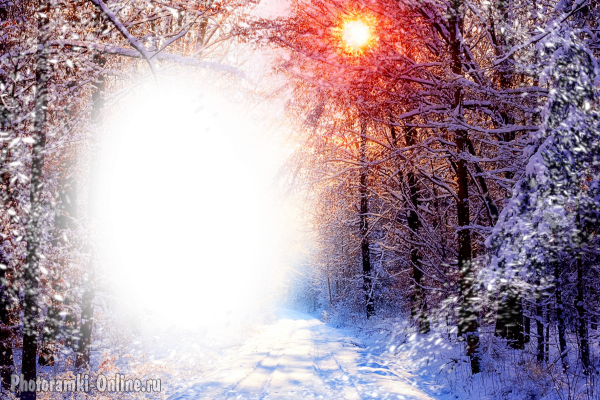 фотоэффект зима лес снег солнце