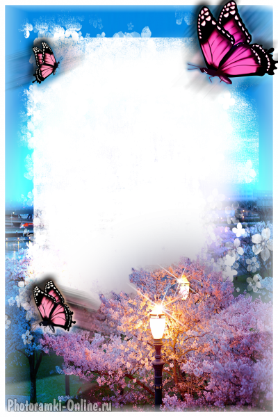 рамка цветущие деревья фонари бабочки