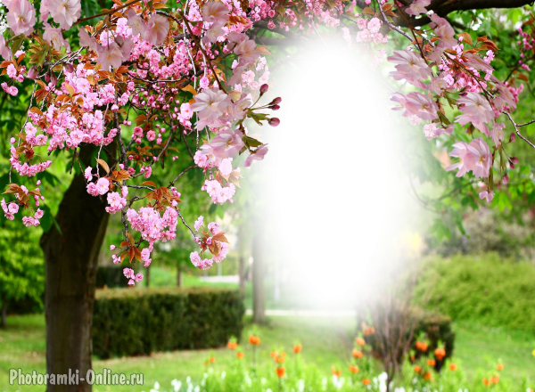 фотоэффект весенний парк цветы деревья