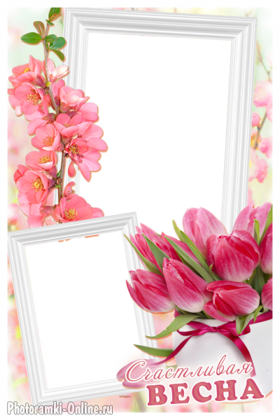 рамка весенние цветы два фото