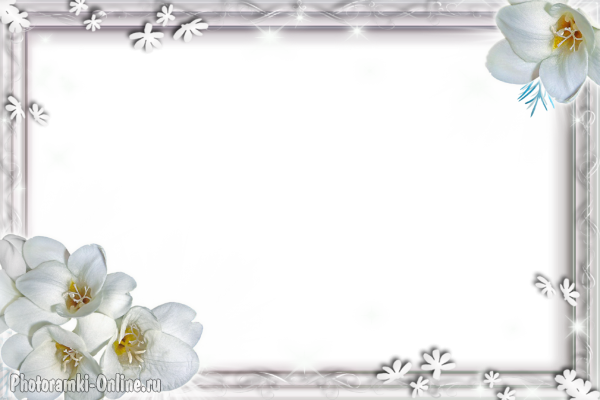 рамка белые цветы