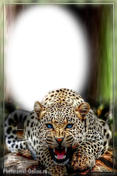 рамка для фото с леопардом