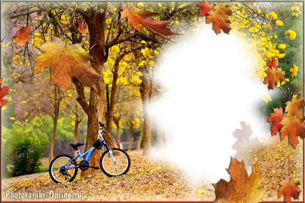 рамка парк осенние листья велосипед