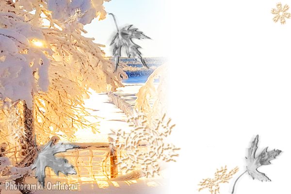 фотоэффект снег деревья