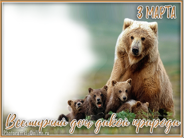 рамка 3 марта медведи