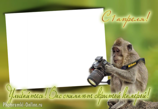 рамка 1 апреля обезьяна фотоаппарат