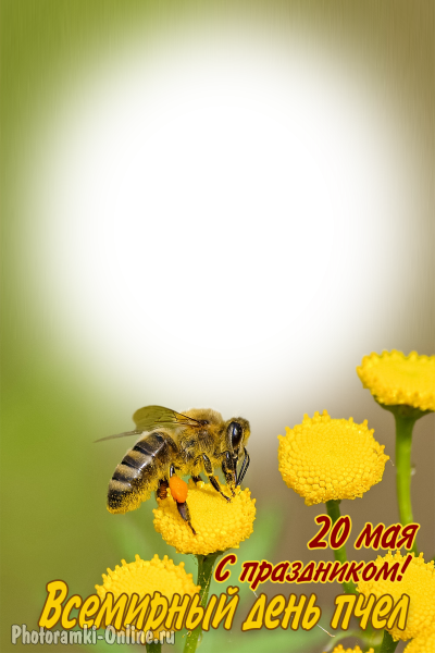Всемирный день пчел, 20 мая. Вставить фото в рамку онлайн