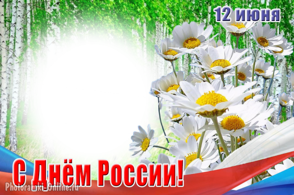 Рамка для фото ко Дню России, ромашки, березы