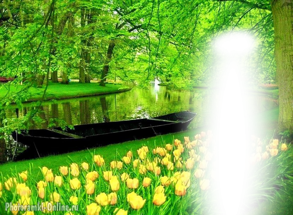 Весенний фотоэффект с природой и тюльпанами парка Кёкенхоф, Нидерланды