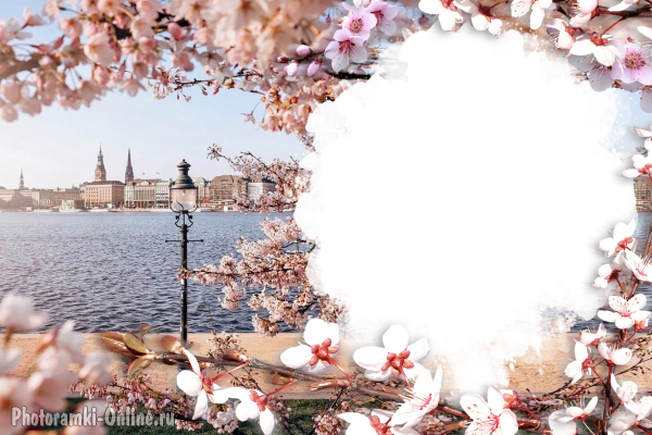 Сделать онлайн нежный фотоэффект с цветами. Гамбург, Германия.