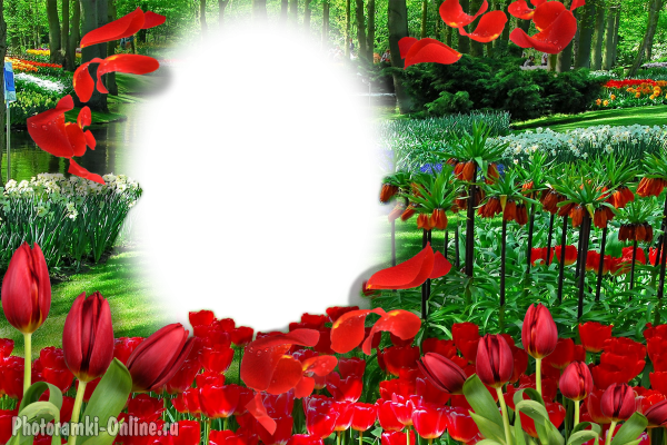 Весенний фотоэффект онлайн тюльпаны парк Кекенхоф