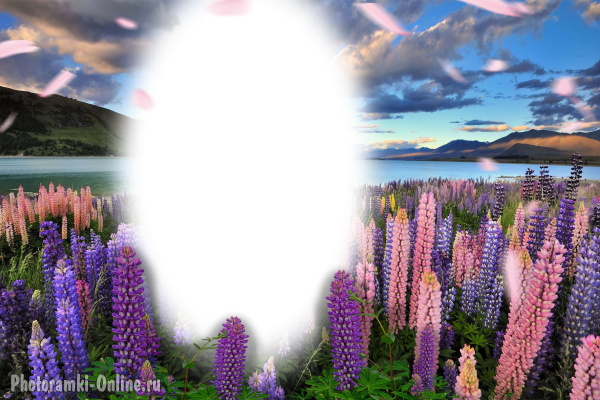 Фотомонтаж онлайн Долина люпинов остров Южный Новая Зеландия
