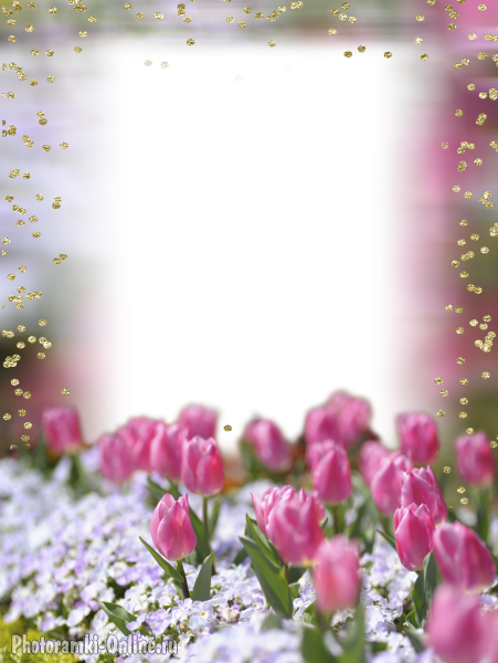 Весенняя, цветочная фоторамка онлайн с розовыми тюльпанами