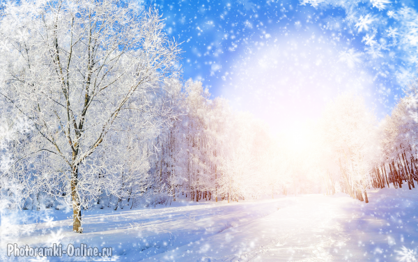 Зимний фотоэффект со снежинками на красивом фоне