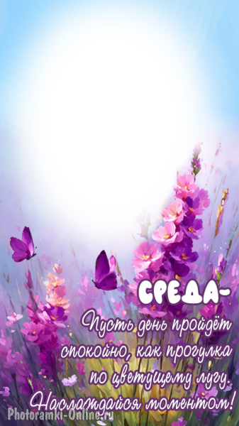 рамка с пожеланием хорошей среды на фоне летних цветов на лугу
