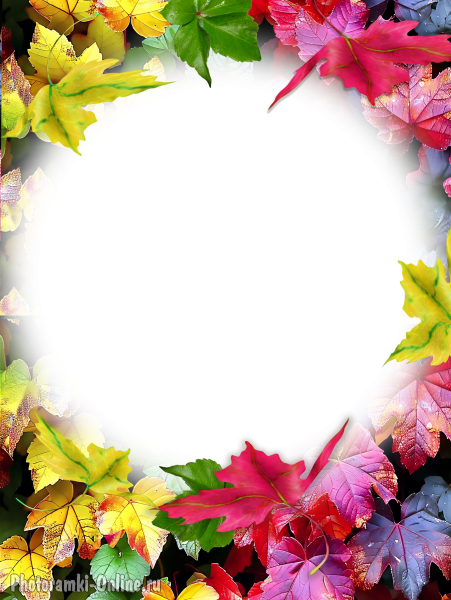 Новый фотоэффект онлайн с разноцветными осенними листьями