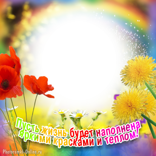 Украшение фото цветами и добрыми словами онлайн