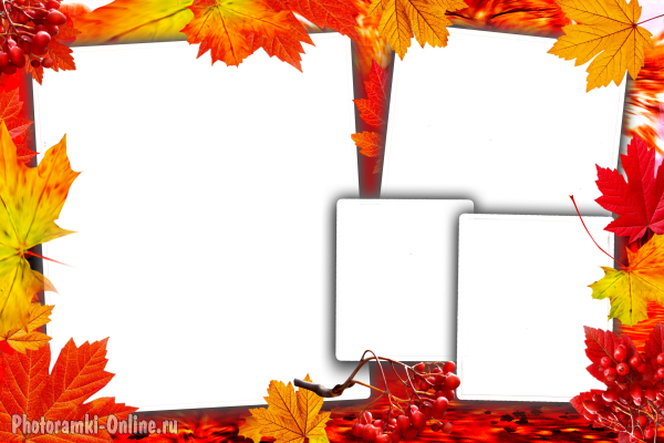 Фоторамка на 4 снимка с разноцветными осенними листьями и гроздьями рябины