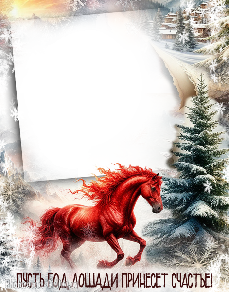 рамка для фото с красивой лошадью и заснеженной природой