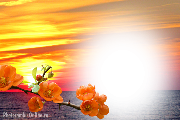 фотоэффект море закат цветы