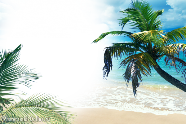 фотоэффект море пальмы пляж