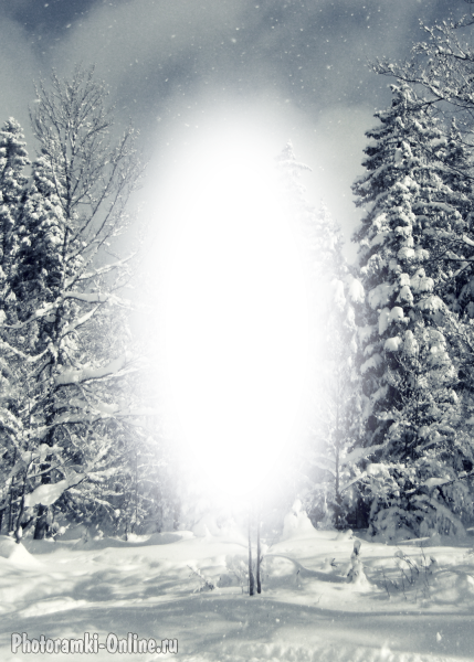 фотоэффект зима заснеженные деревья лес