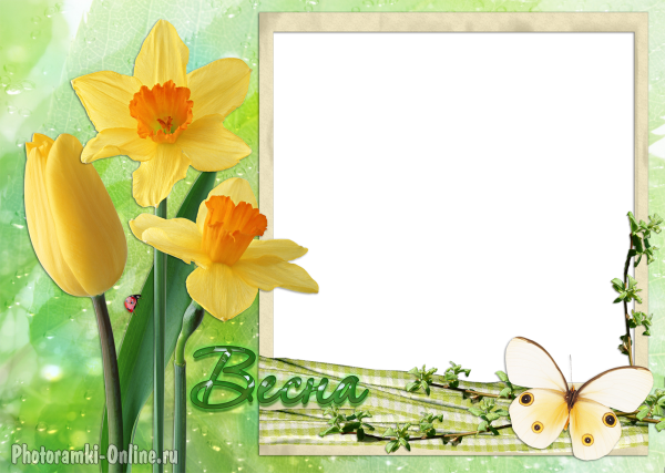 рамка нарциссы тюльпан весна
