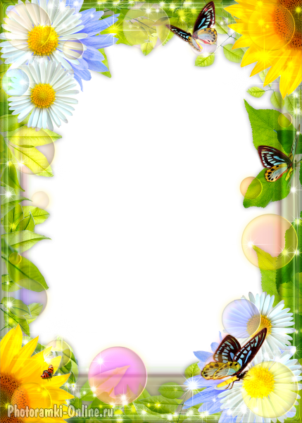рамка летняя цветы