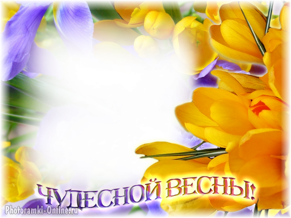 фотоэффект цветы весна