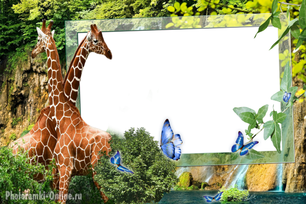рамка жирафы водопад