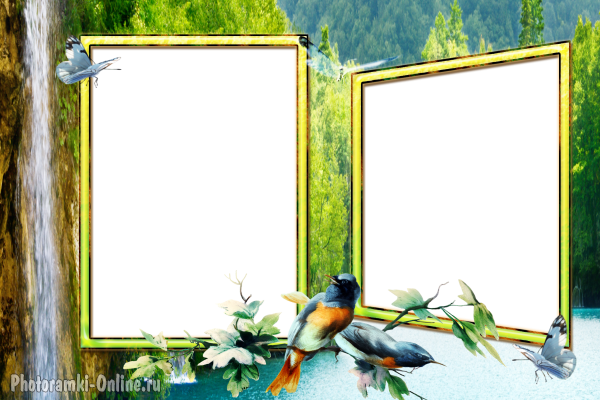 рамка два фото птицы бабочки водопад