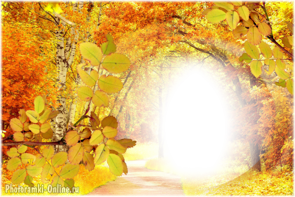 фотоэффект золотой осенний лес