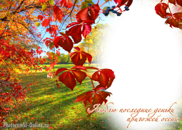 фотоэффект пейзаж осенние листья